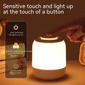 Touch-Controlled Rechargeable LED Night Lamp AtoZChoices